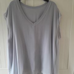 Sheer V Neck Grey Top