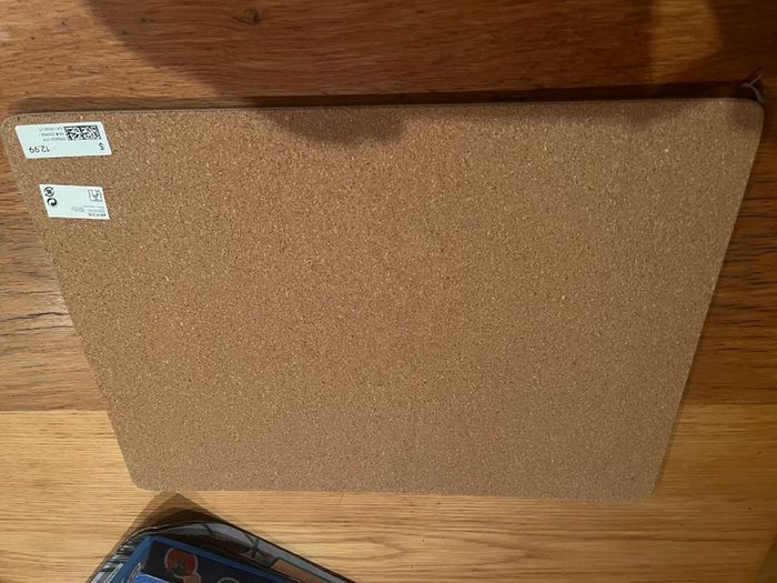 Dinosaur Table mat