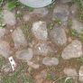 Cobbles/Rounded Stones Image 6
