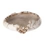 Reptile Nova Terrarium Ornament Bowl DINOEGG Image 2
