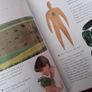 BOOK - Colour Healing Image 4