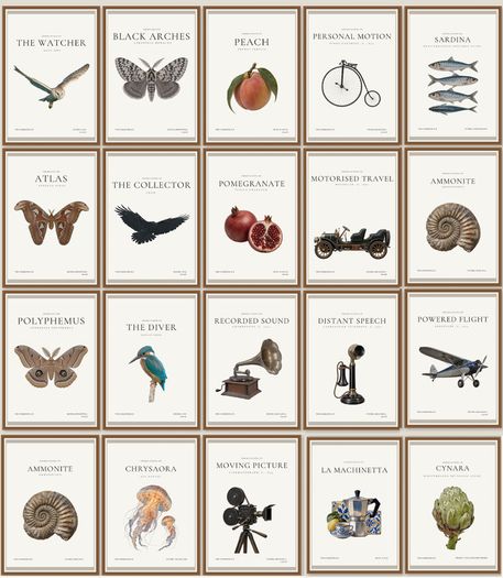 Gallery Style Art Prints (21cm x 30cm)
