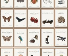Gallery Style Art Prints (21cm x 30cm)