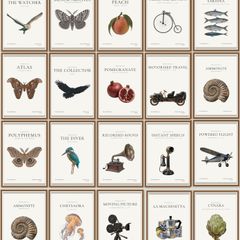 Gallery Style Art Prints (21cm x 30cm)