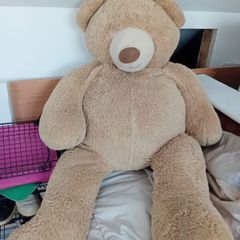 free big teddy bear