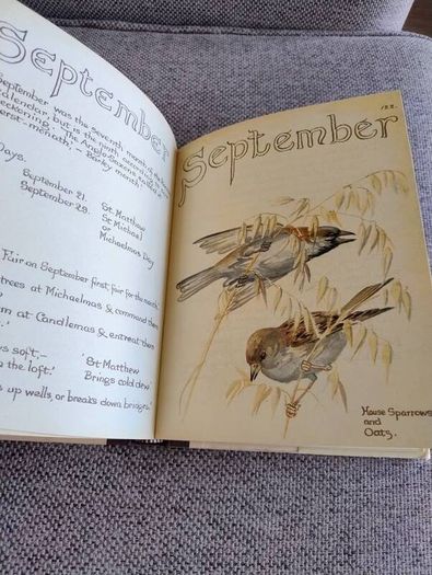 The Country Diary of an Edwardian Lady 1979 by Edith Holden in very good condition with some wear to the dustcover see photos FREE STANDARD POSTAGE INCLUDED