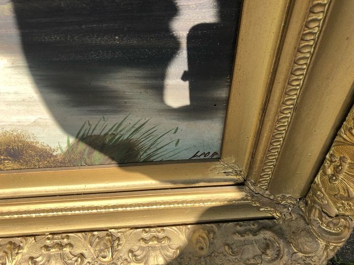 2 x oils
