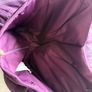 After Six - Aubergine Strapless cocktail dress, knee length size 12 Image 6