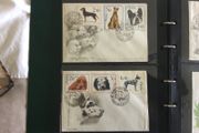 First Day Covers - Poland .
