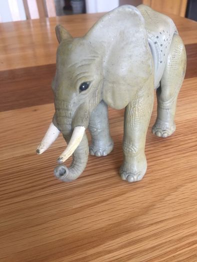 heavy sturdy elephant