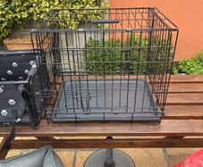 Crate & Car seat  puppy / sml dog