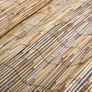 Garden Reed Fence 125x1000 cm Image 3