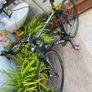 Futura monza 22 inch frame 700x25c wheels 16 speed double breaks Image 4