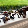 Selection of Dinosaurs Image 4