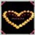 joanne.ivers