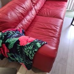 leather sofa, burgundy red