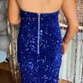 Debs dress or ty ball Image 4