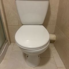 White Toilet