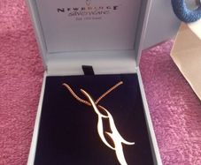 Brand New Newbridge Silver Necklace in Rose Gold