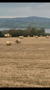 Straw