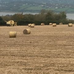 Straw
