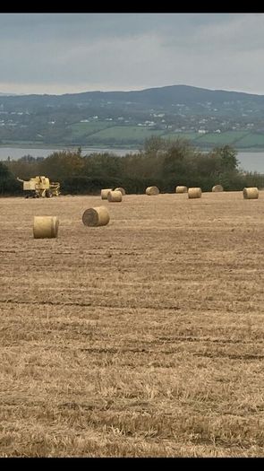 Straw