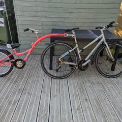 Ladies Ridgeback Velocity + Copilot Weeride