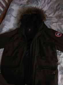 canada goose