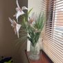 flower Image 2
