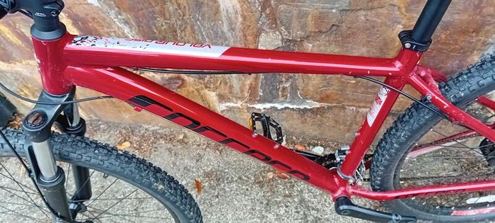 Carrera Mountain Bike