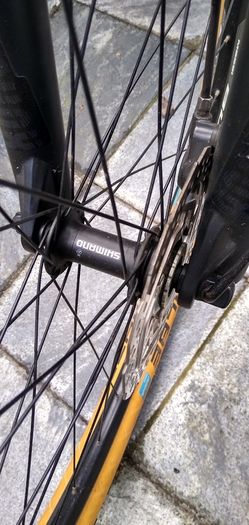 Massi Fura 29" 2019 hardtail