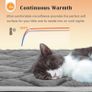 Self Heating Pet Pad for Cats and Dogs No Electric Self-Warming Thermal Mat for Pet Bed/Crate - 70x48cm Image 3