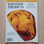 Scientific American Magazine Prehistoric Amber Issue 1996 Image 2