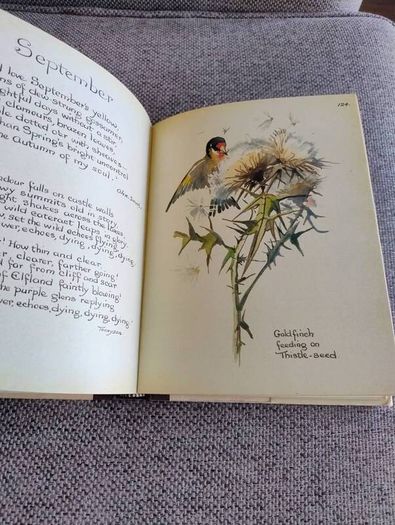 The Country Diary of an Edwardian Lady 1979 by Edith Holden in very good condition with some wear to the dustcover see photos FREE STANDARD POSTAGE INCLUDED