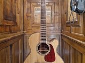 Takamine GN93CE
