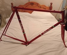 Bergundy Bottecchia SLX 56x56 road bike frame