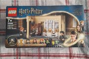 LEGO 76386 Hogwarts Polyjuice Potion Mistake