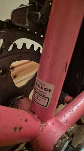 Classic vintage peugeot road racing bike