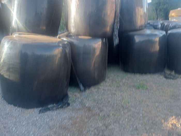 Haylage