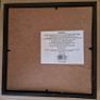 Fossilized prehistoric fish / fossilized wood and ammonite. In display frame. Image 4