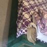 bed Image 3