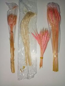 Pampas Grasses & Foliage