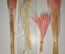 Pampas Grasses & Foliage