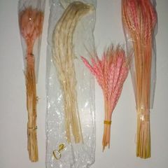 Pampas Grasses & Foliage