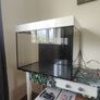 Fishtank Image 2
