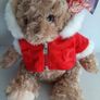 New teddy with red coat tags attached Image 4