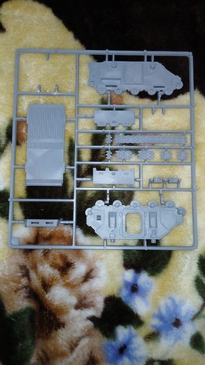 Warhammer Rhino