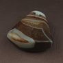 Vintage Natural Eyes Suliemani Agate Bead Amulet Pendant Image 3