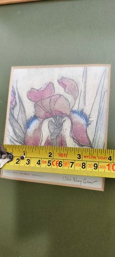 FRAMED DETAIL IRIS RAINBOW FANTASY penceled and coloered signed by artist .