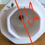 Lid Image 3